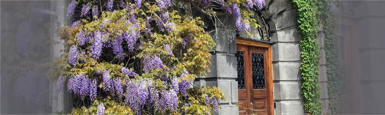 Botany building, Trinity College Dublin.