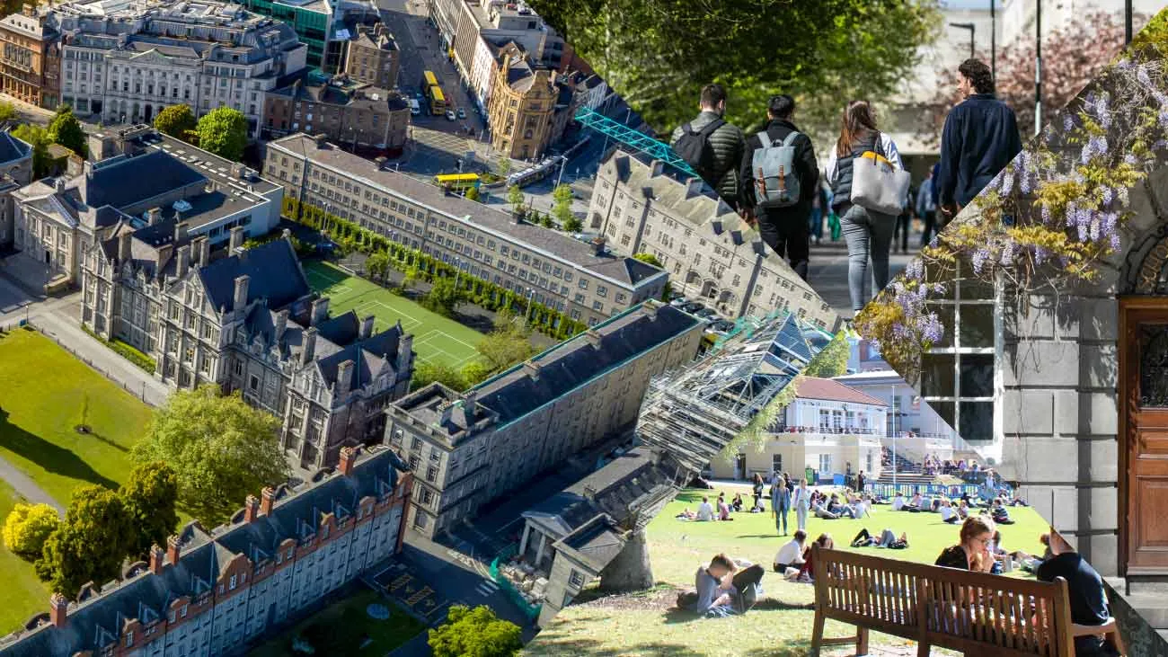 Partnerships Banner 2