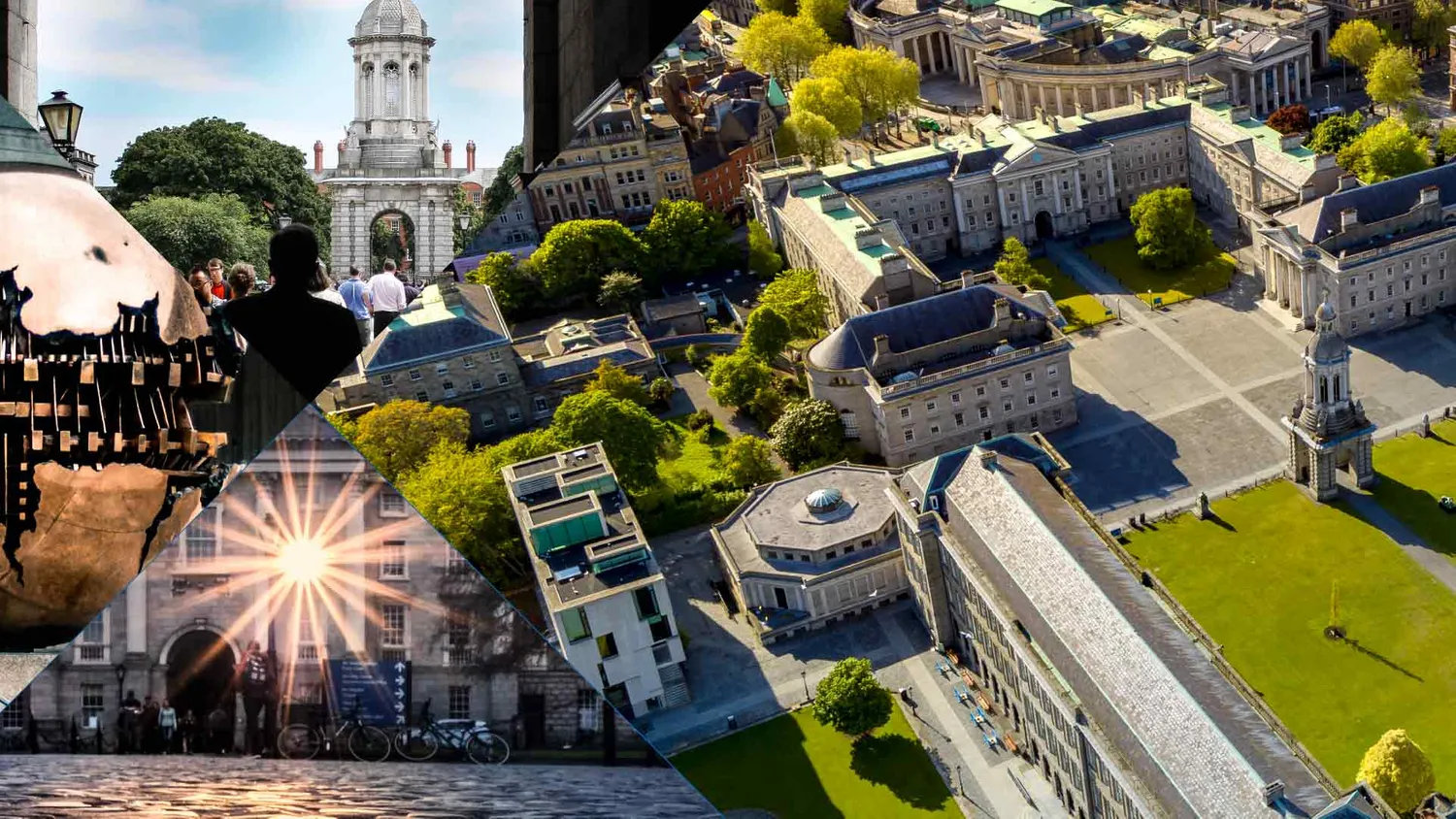 Partnerships and Networks