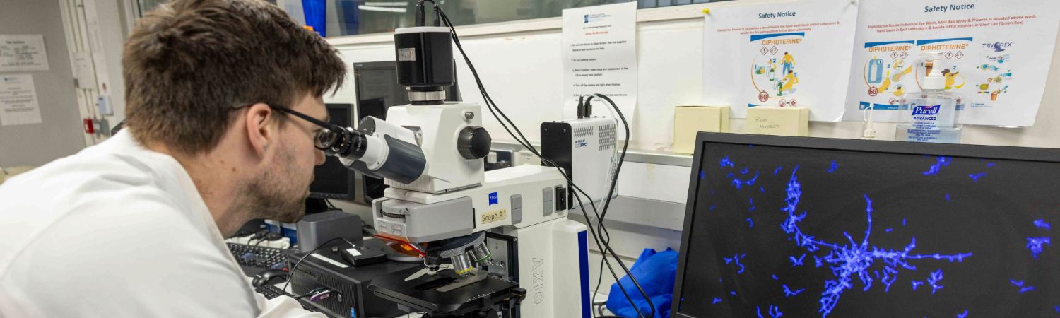 A student looking through a microscope, You can see an image of what he is looking at on a screen beside him