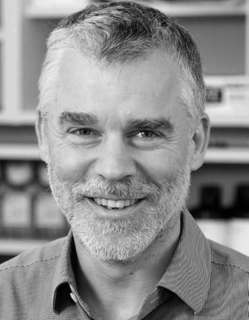 Professor Mark Little