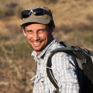 Professor David Chew