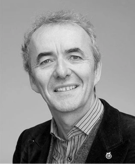 Professor Michael Cronin