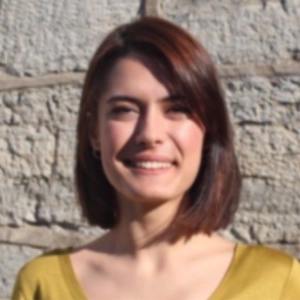 Dr. Asli Ceren Cinar