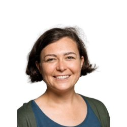 Professor 