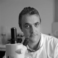 Professor Patrick Walsh