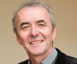 Professor Michael Cronin