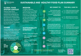 Food Plan Poster