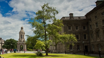 Virtual Background 3