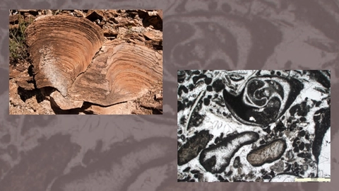 Evolution and Environment - Geology | Trinity College Dublin