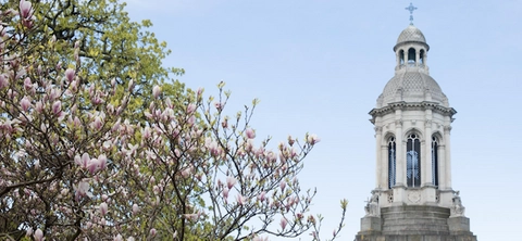 Seven Trinity researchers and staff receive IRC Research Ally awards