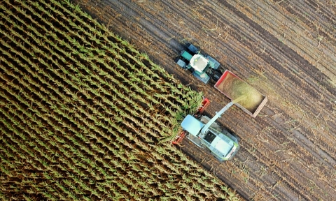 The weeds shall inherit the Earth