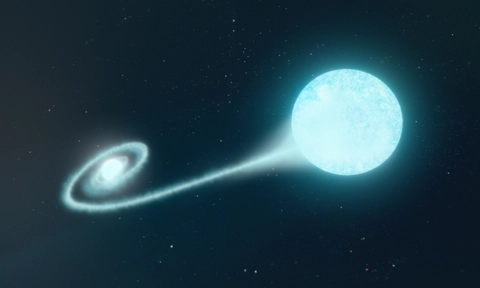 First radio signal reveals supernova origin 