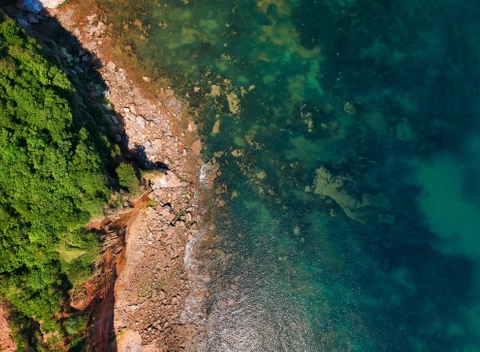 Deoxygenation levels similar to today&rsquo;s played key role in marine extinctions during major past climate change event
