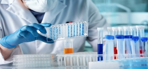 Trinity researchers receive &euro;1.3 m from HRB for postdoctoral research fellowships