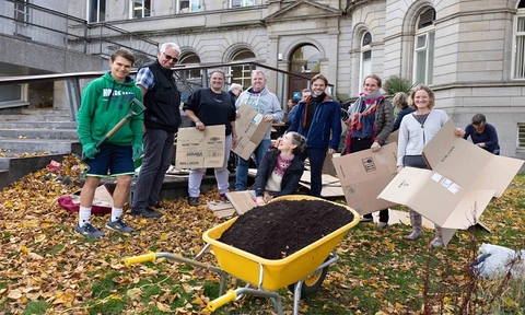 Into the woods - a Pocket Forest comes to Trinity 