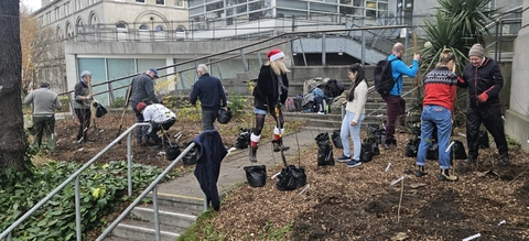 An Urban Forest on Campus 