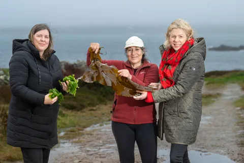 Ocean farmers join forces with researchers to explore potential of nature-positive economy   