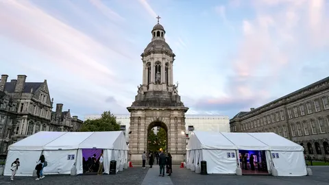 Embody your own avatar, channel your inner medieval scribe, and sign up for botany bootcamp at the START Festival 