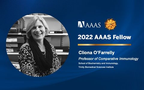 Professor Cliona O’Farrelly named 2022 AAAS Fellow