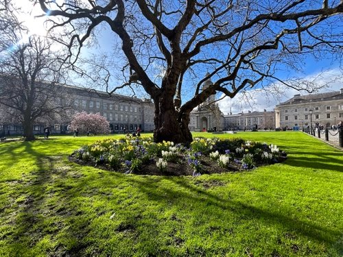 Spring campus