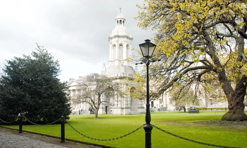 Feature Card 500x300