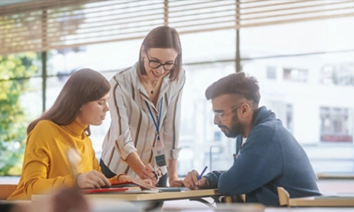 Assessment & Feedback