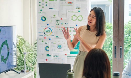 Professor explaining the ESD concept