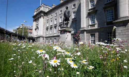 Trinity Entrance & Sustainability