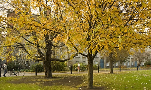 Autumn on campus