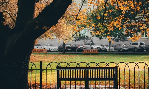Campus in Autumn with bench