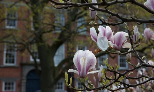 Hilary Term 2025 Newsletter