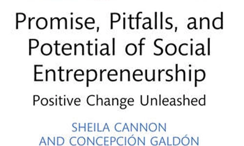 Book cover Promise, Pitfalls, and Potential of Social Entrepreneurship. Positive Change Unleashed.