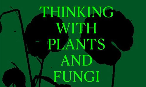Book cover Thinking with Plants and Fungi: Interdisciplinary Explorations of Ecology, Mind, and the More-than-Human World.