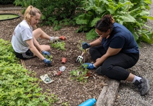 Two students working in the Botanic gardens