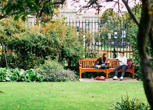 Students sitting in the rose garden on Trinity College campus.