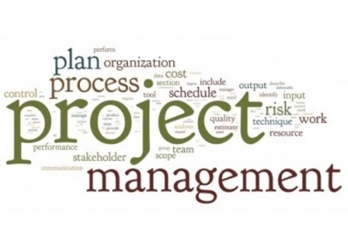 Project Management logo