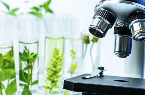 Photo of microscope and plant samples in test tubes