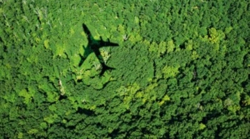 Overhead view of green landscape with a silhouette of a plane visible
