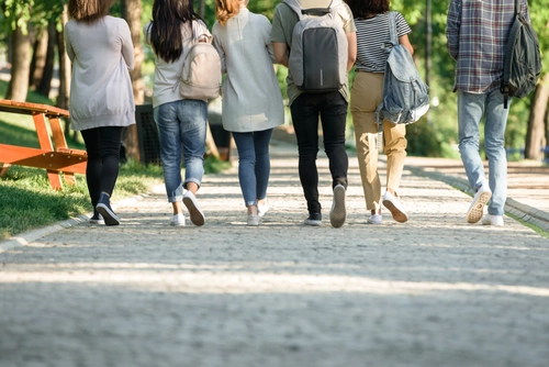 Image of six students walking down a path walking away from camera