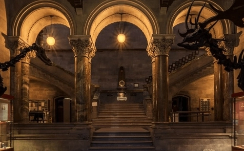 Estates & Facilities