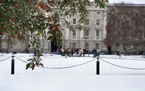 Snow at Trinity