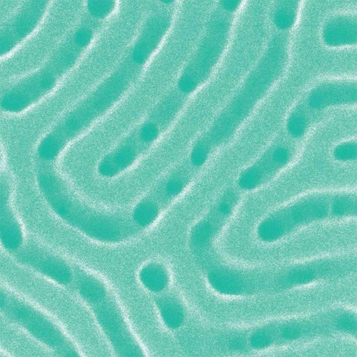 Focused Ion Beam (FIB) Technologies