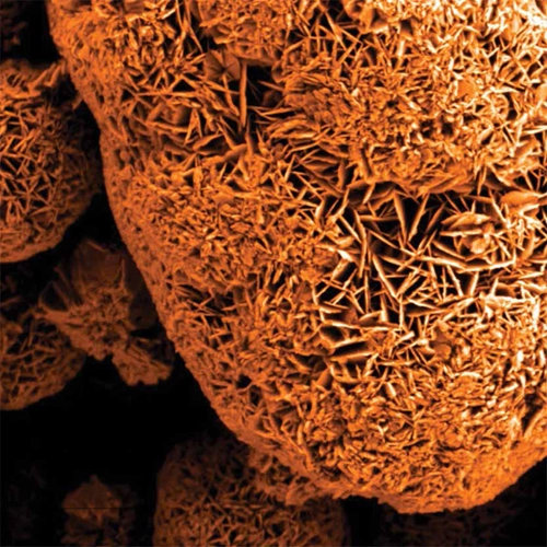 Scanning Electron Microscopes