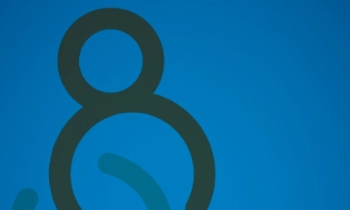 Professional Placement Planning logo