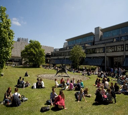Students sitting on the grass at Fellows' Square