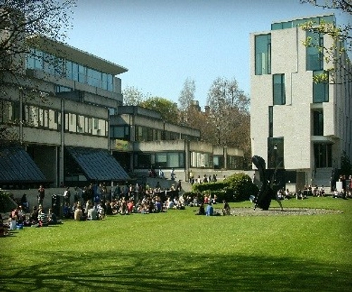 Students sitting on the grass at Fellows' Square
