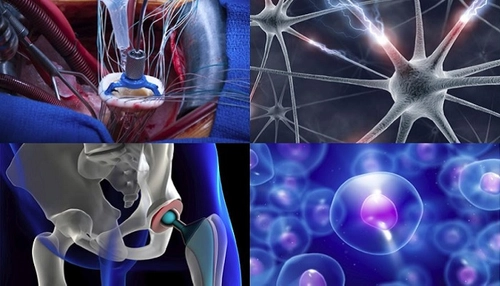 Various images of biomedical engineering applications