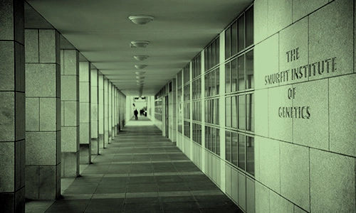 Area 4 Smurfit Institute