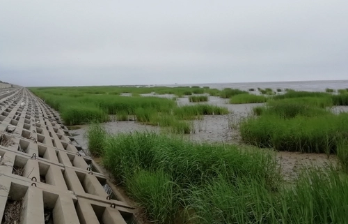 Coastal BarrierCoastal Barrier